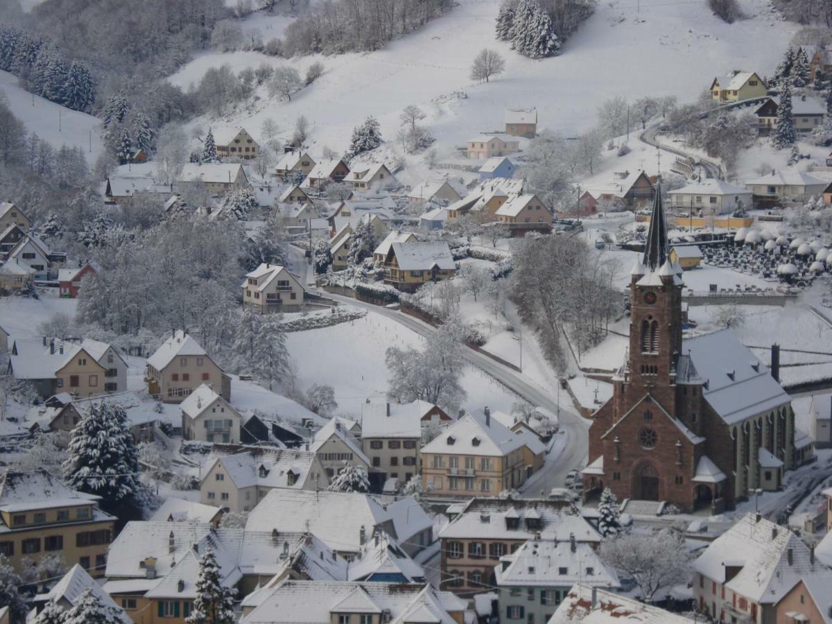 Gite En Pleine Verdure Au Coeur Du Village Lapoutroie Esterno foto